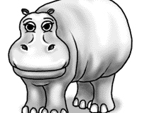 Hippo