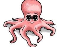 Octopus