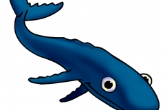 Whale