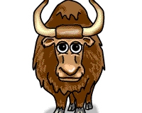 Yak