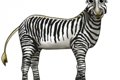 Zebra