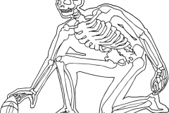 Skeleton_OL